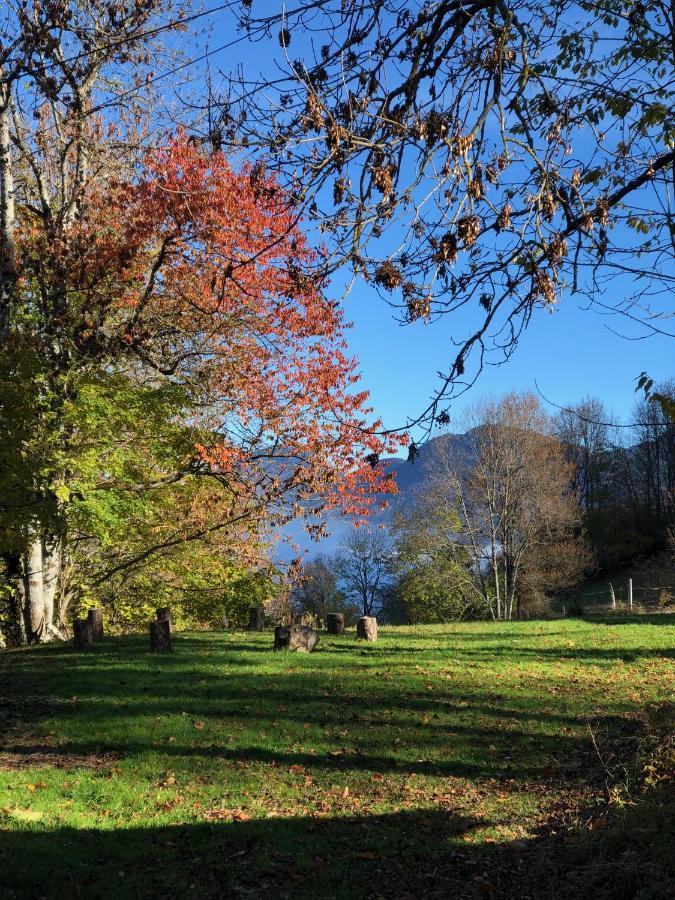 Chapamama Bed & Breakfast Aillon-le-Vieux Bagian luar foto